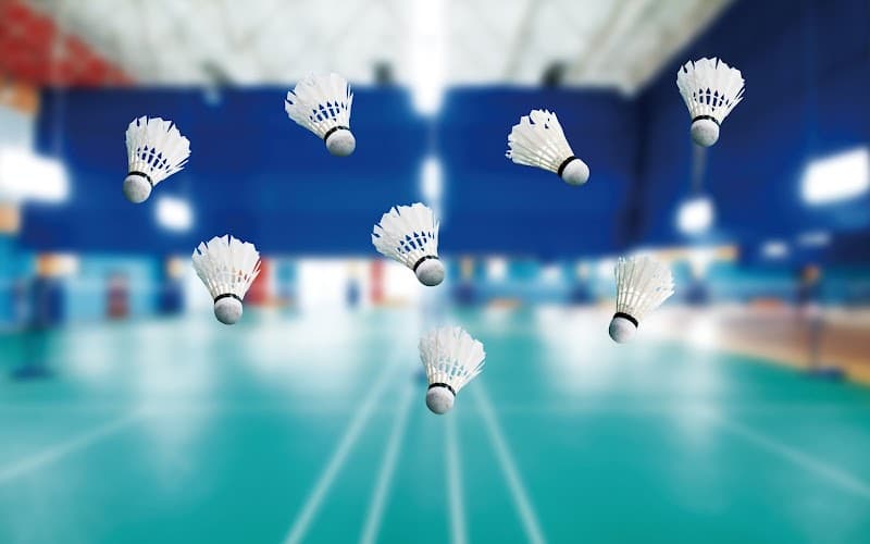 Ligue Nouvelle-Aquitaine de Badminton