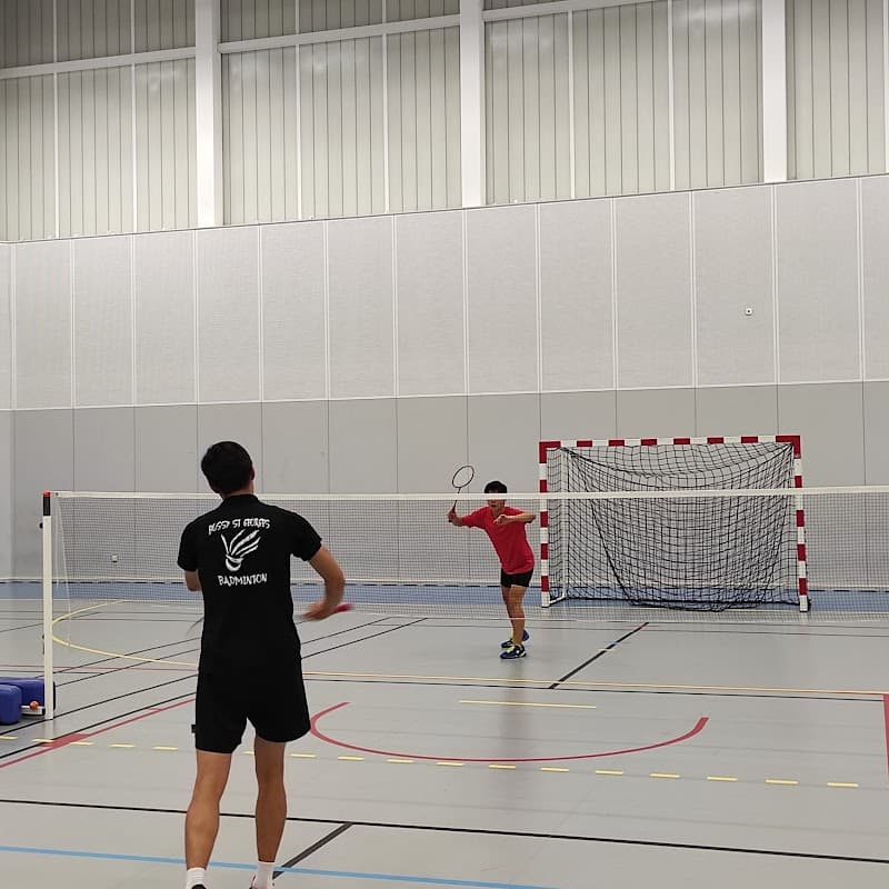 BSG Badminton